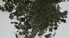 Load image into Gallery viewer, Stinging Nettle Herb